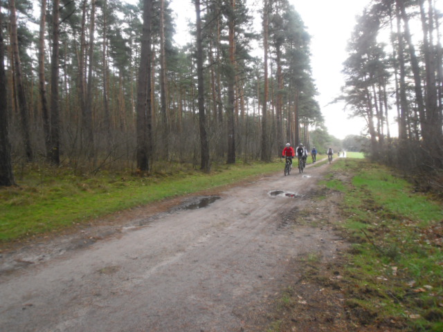 CTFAllertalJN 033